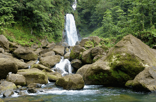 Trafalgar Falls Dominique