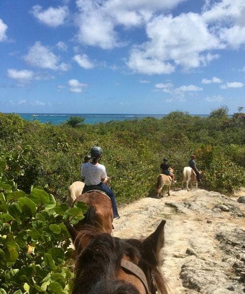 balade à cheval sur la plage Macabou