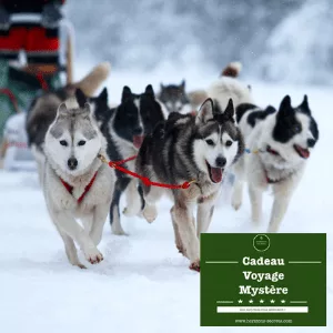 cadeau voyage box week-end chiens de traineaux