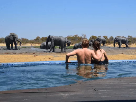 Voyage de noces safari surprise Zimbabwe Voyage de noces juin safari surprise Zimbabwe