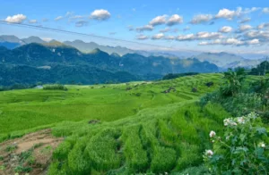 Vietnam rizière voyage surprise paysages